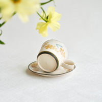 かとうようこ Yoko Kato Mimosa Collection