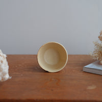 Shoko Hirano 平野照子 Cat Cup SR02 #6