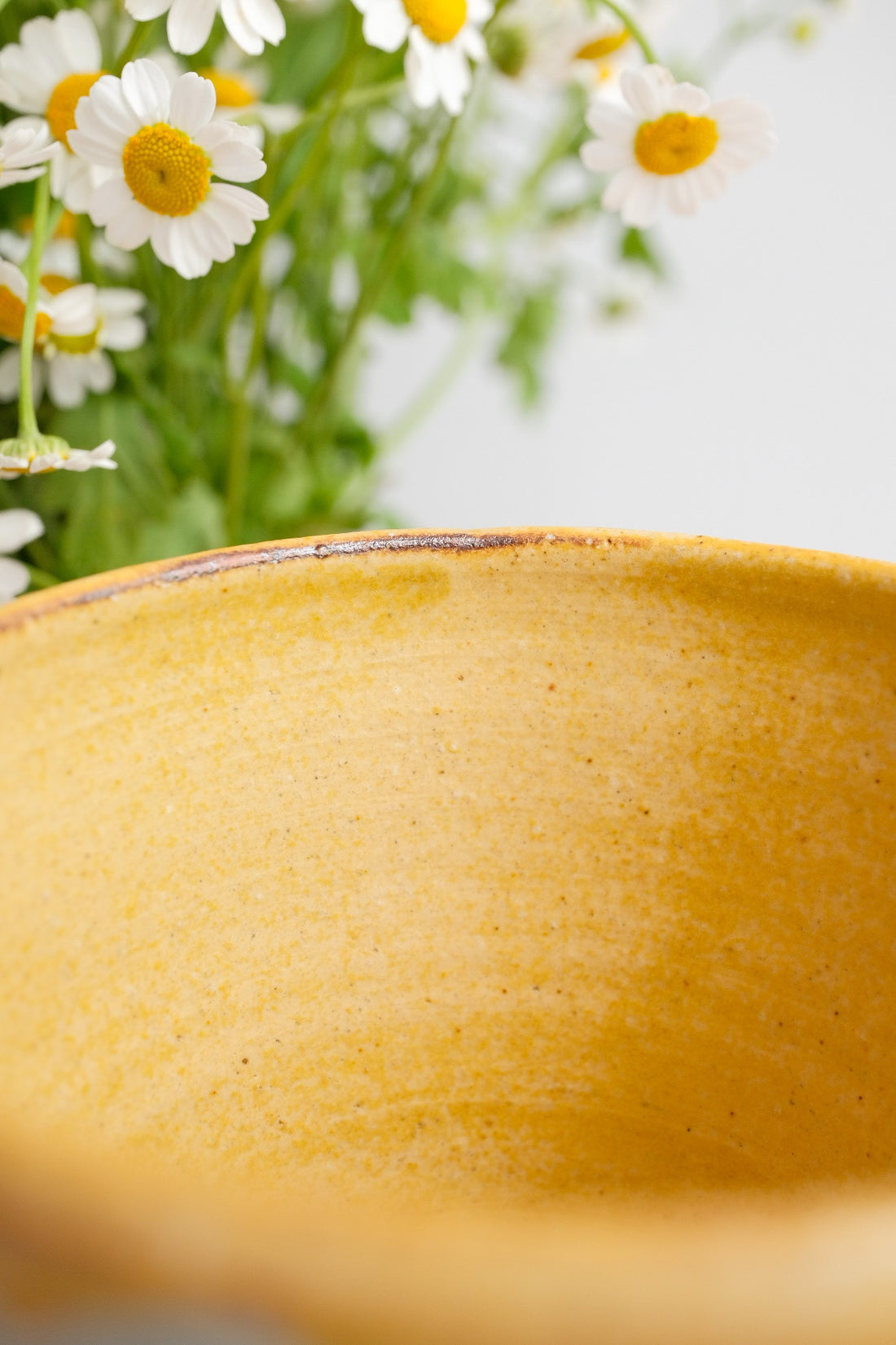 Makiko Okizawa 冲澤真纪子- Spring Mug MA01