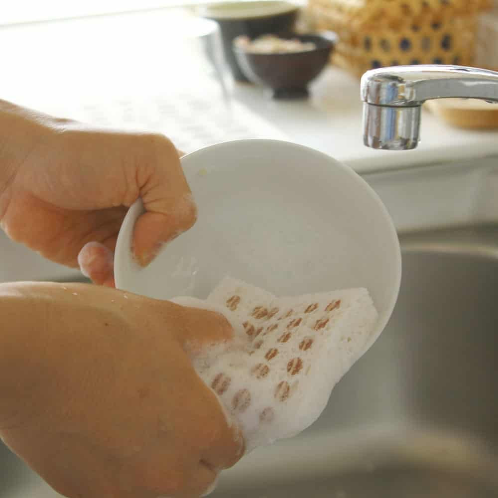 Ecomfort House - Sponge Wipe