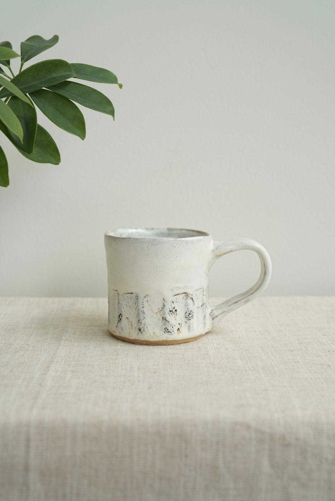 3rd Anniversary Special Collection