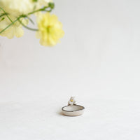 Misuzu Ishigami 石神美鈴 Animal Deco Mini Plate MIS38