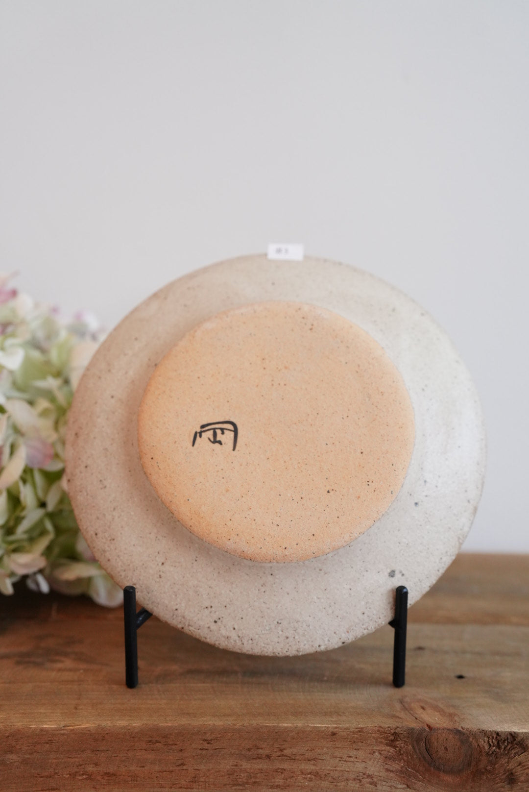 Tomotaro 岡村友太郎 - Rainbow Plate #3