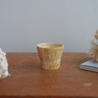 Shoko Hirano 平野照子 Cat Cup SR02 #11