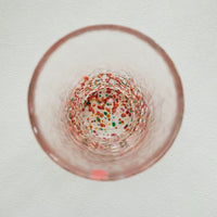 Tsugaru Vidro Japanese Colors Tumbler