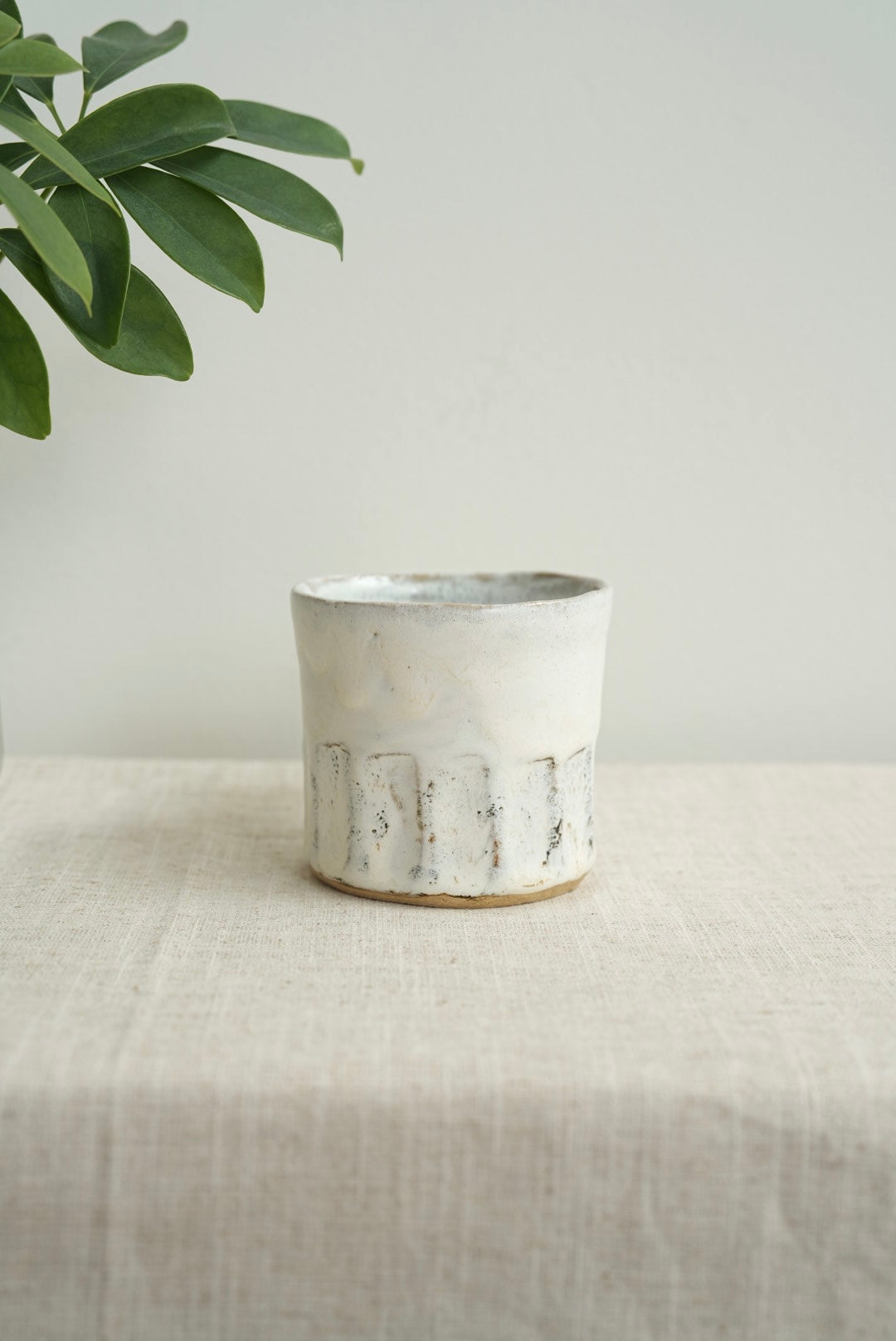 3rd Anniversary Special Collection