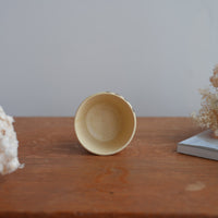 Shoko Hirano 平野照子 Cat Cup SR02 #4