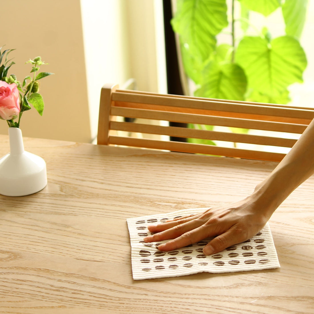 Ecomfort House - Sponge Wipe