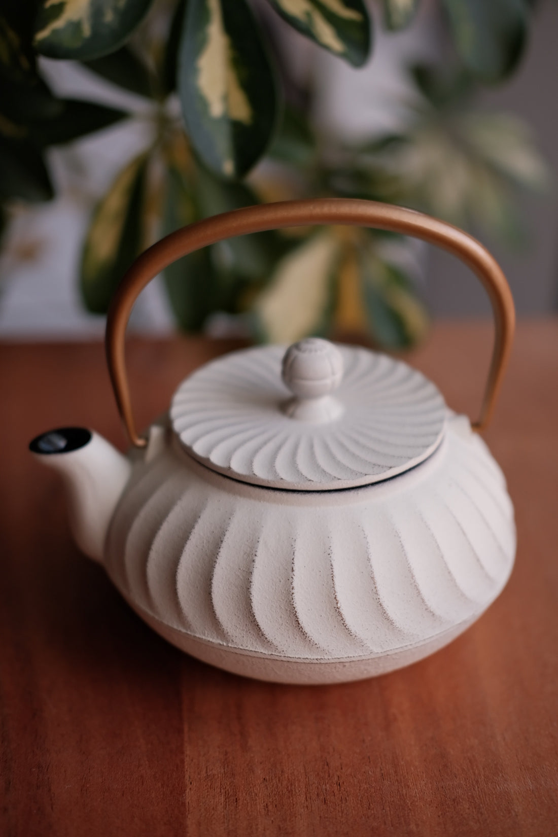 IWACHU Iron Teapot - White Gold