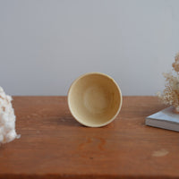 Shoko Hirano 平野照子 Cat Cup SR02 #2