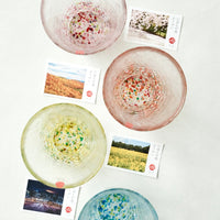 Tsugaru Vidro Japanese Colors Tumbler