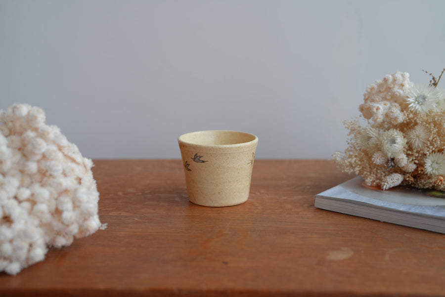 Shoko Hirano 平野照子 Cat Cup SR02 #4