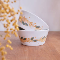 Mino Ware Acacia Collection
