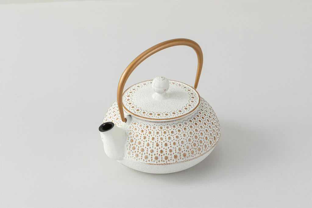 IWACHU Iron Teapot - White Gold - Dots Pattern
