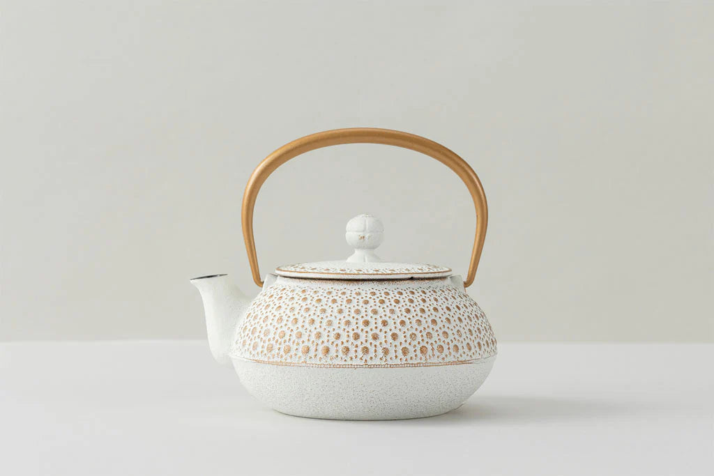 IWACHU Iron Teapot - White Gold - Dots Pattern