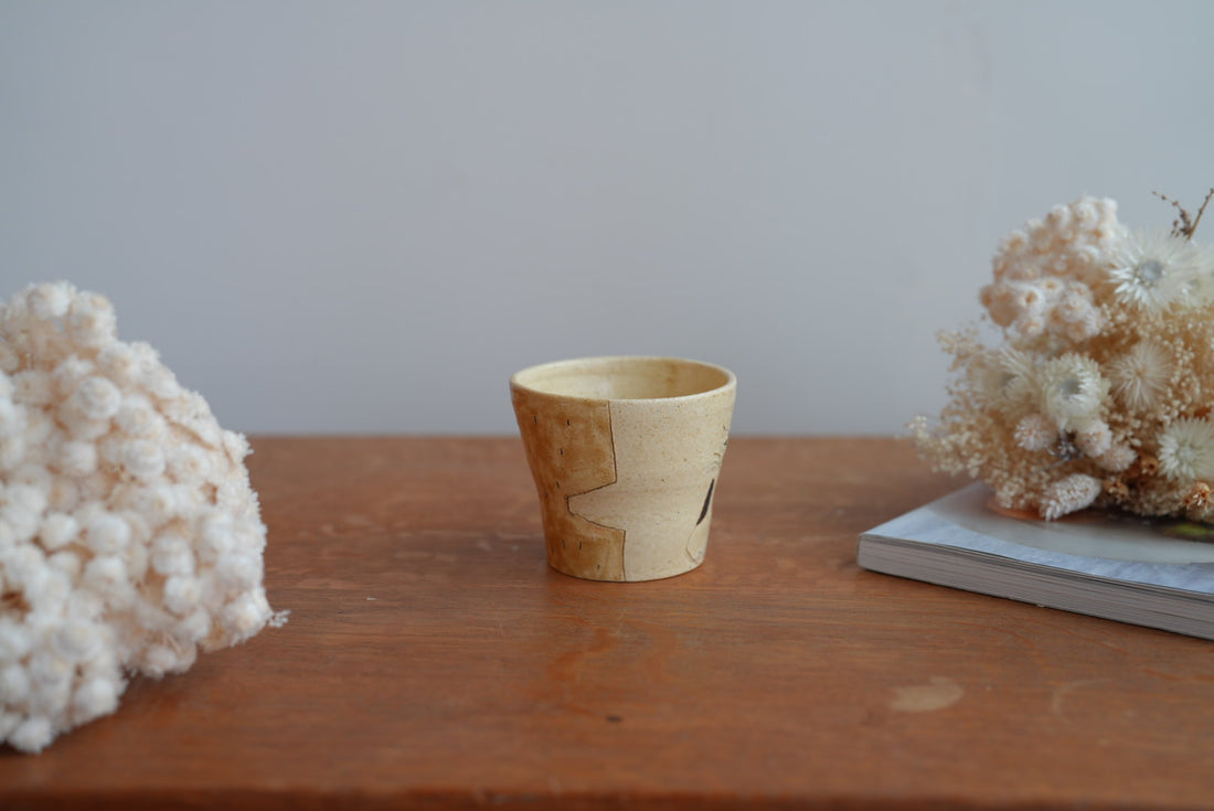 Shoko Hirano 平野照子 Cat Cup SR02 #11