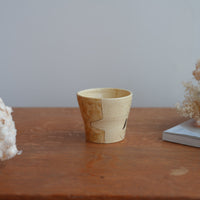 Shoko Hirano 平野照子 Cat Cup SR02 #11