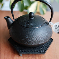 IWACHU Iron Kyusu Teapot