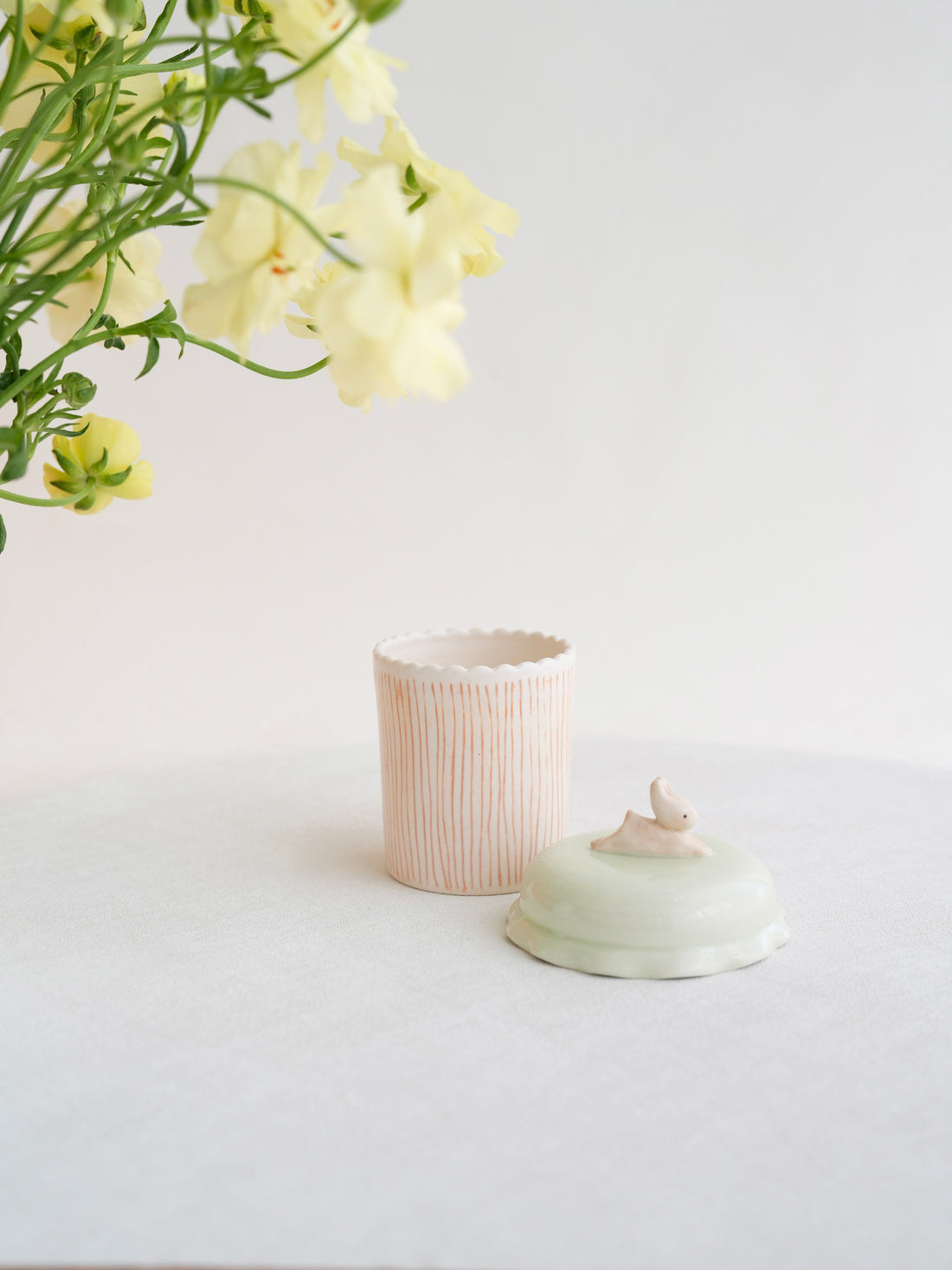 Notari - Rabbit Jam Container NO09