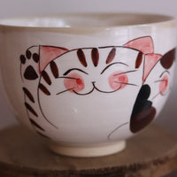 Hasami ware Lucky Cat Large Bowl Ramen Bowl