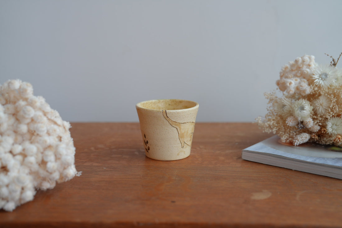 Shoko Hirano 平野照子 Cat Cup SR02 #7