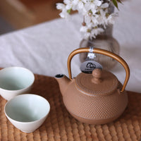 IWACHU Iron Teapot - Golden Yellow