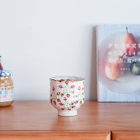 Aiko Miura 三浦愛子 Strawberry Free Cup AM21