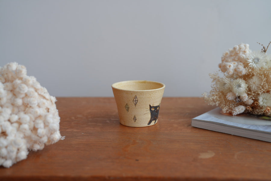 Shoko Hirano 平野照子 Cat Cup SR02 #2