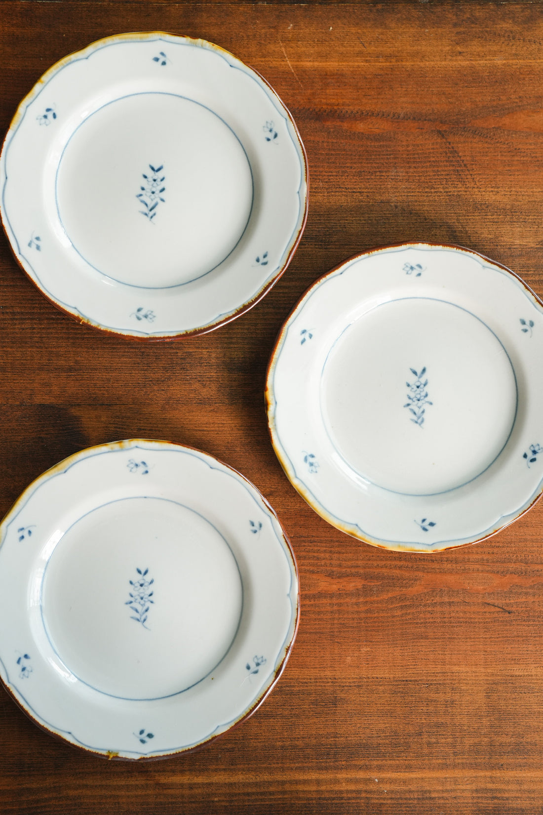 Kazuaki Shimura 志村和晃- Sometsuke Floral 6" Rimmed Plate KAS03