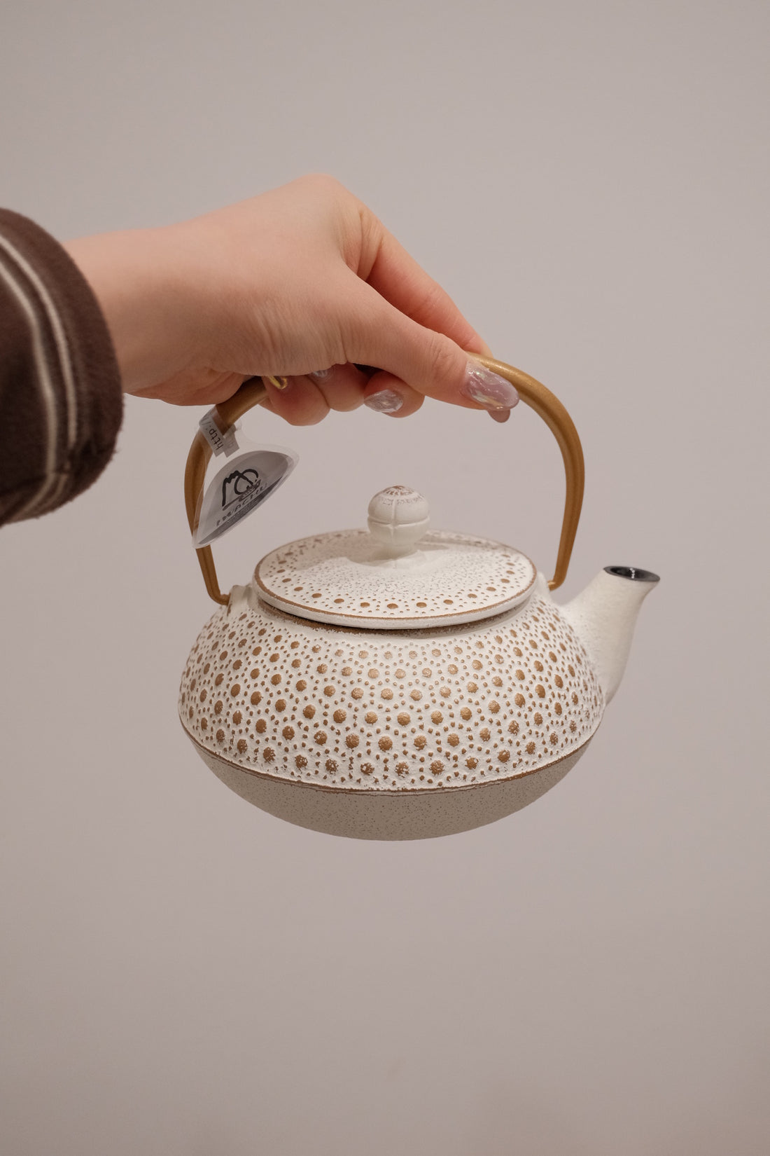 IWACHU Iron Teapot - White Gold - Dots Pattern