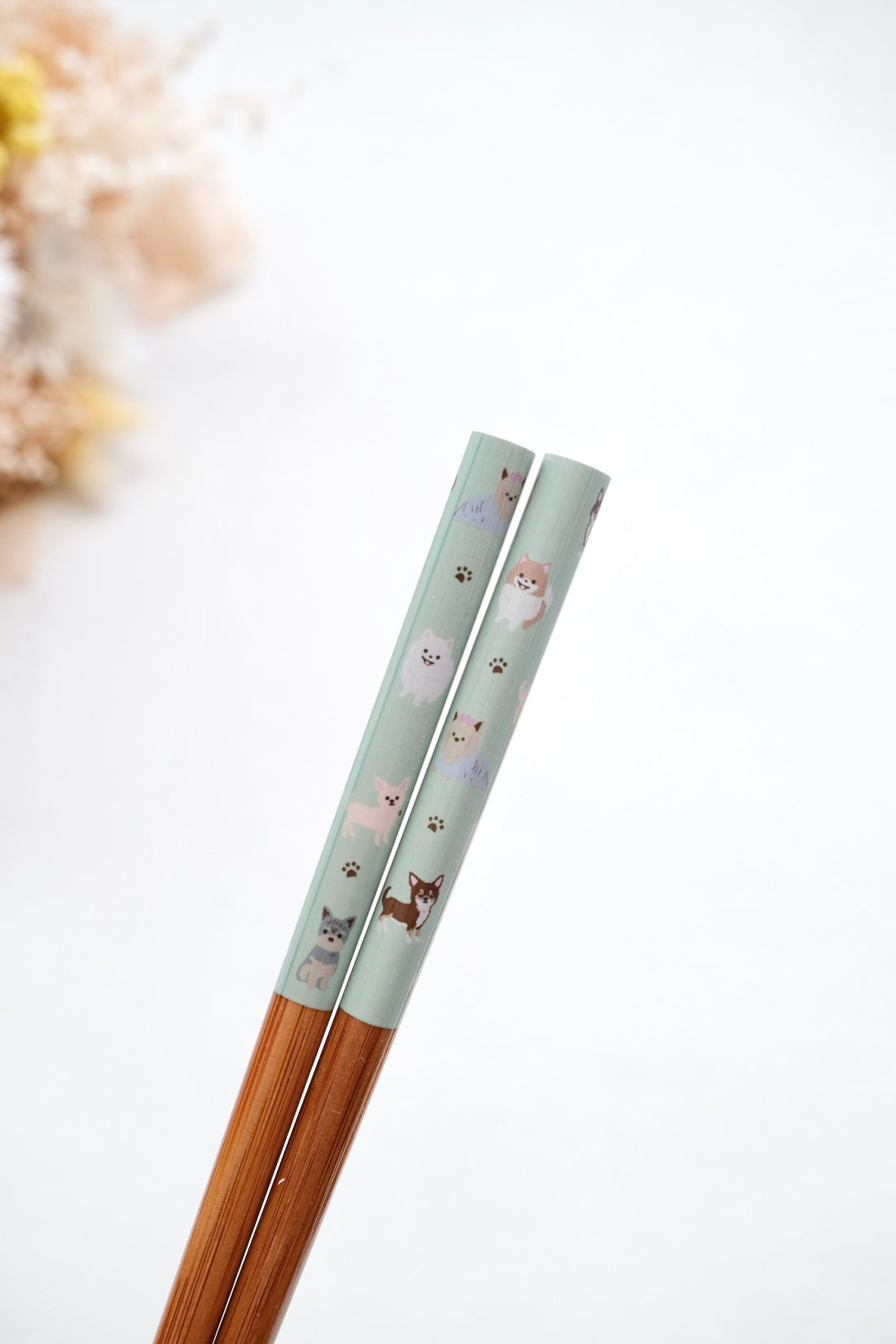 Japanese Chopstick Cute Animal Collection 22.5 cm