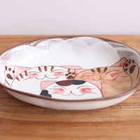 Hasami Arita ware Friendly Cat Curry Plates Oval Cat