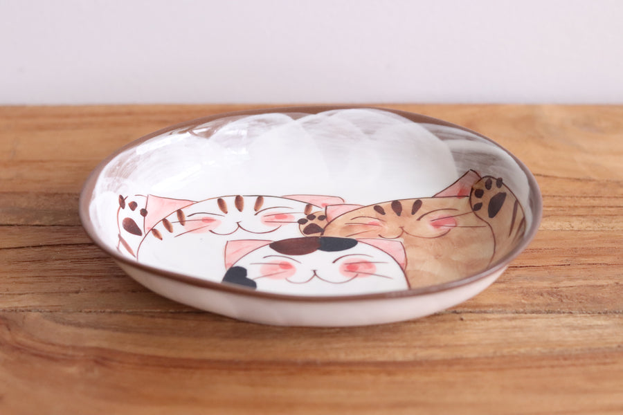 Hasami Arita ware Friendly Cat Curry Plates Oval Cat