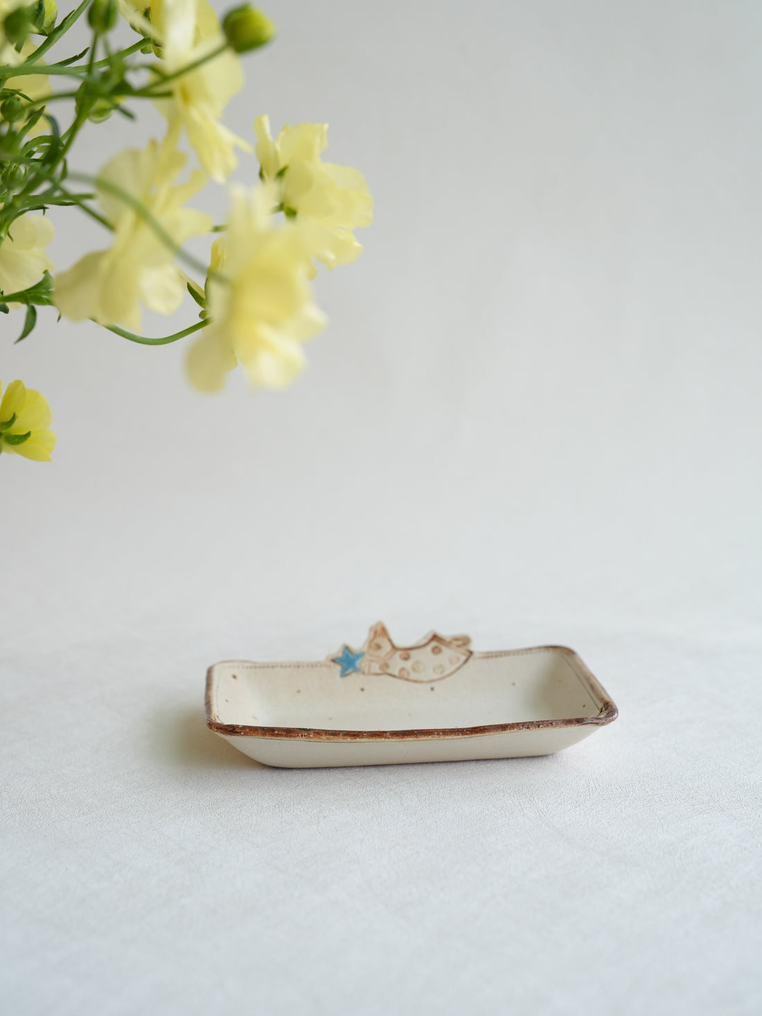 Misuzu Ishigami 石神美鈴 Animal Rectangle Plate MIS01