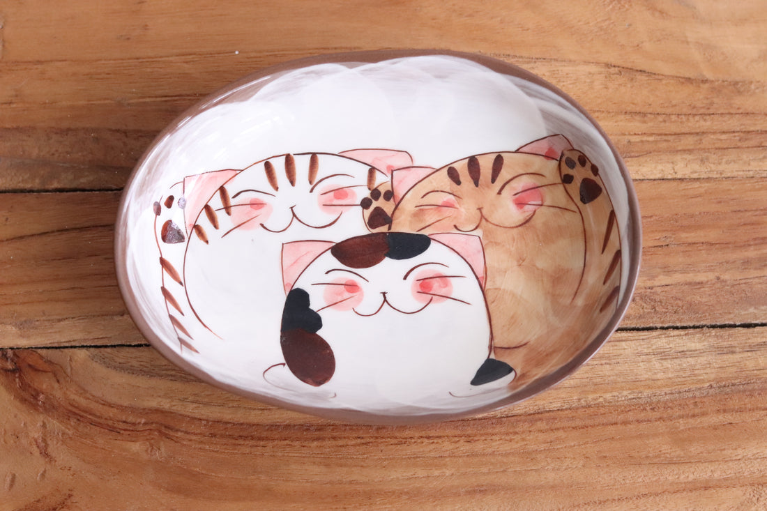 Hasami Arita ware Friendly Cat Curry Plates Oval Cat