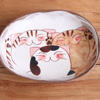 Hasami Arita ware Friendly Cat Curry Plates Oval Cat