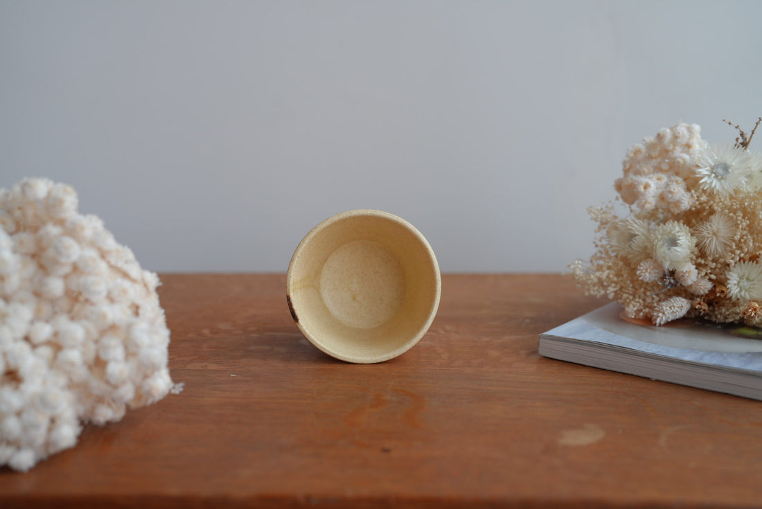 Shoko Hirano 平野照子 Cat Cup SR02 #3