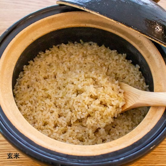 Nagatanien - Kamado San Rice Cooker Donabe