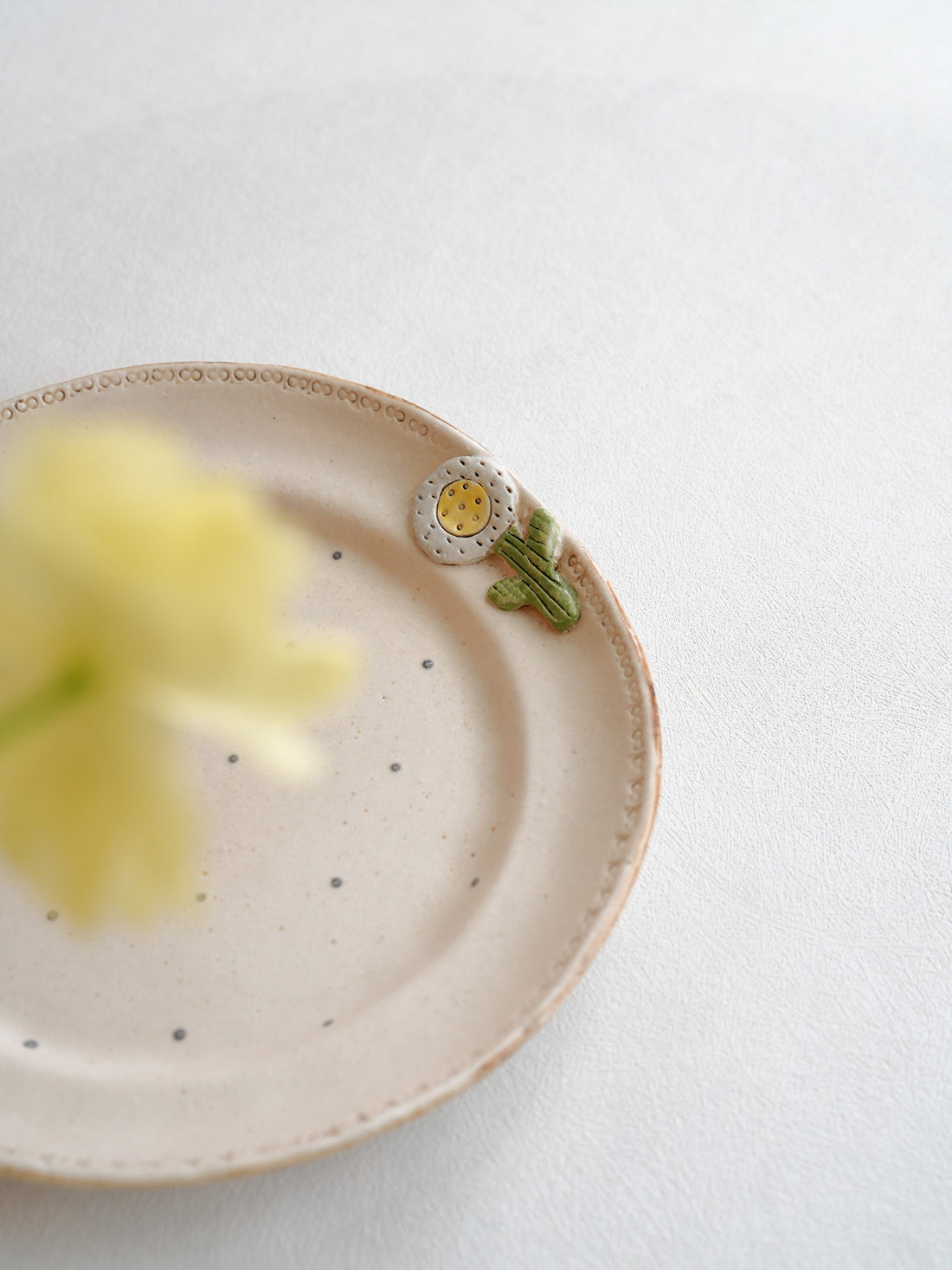 Misuzu Ishigami 石神美鈴 Animal Deco Plate MIS39