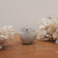 Shoko Matsuura 松浦唱子 Cat Cup SM05 #2