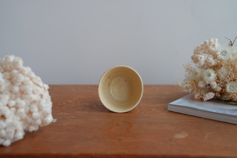 Shoko Hirano 平野照子 Cat Cup SR02 #5