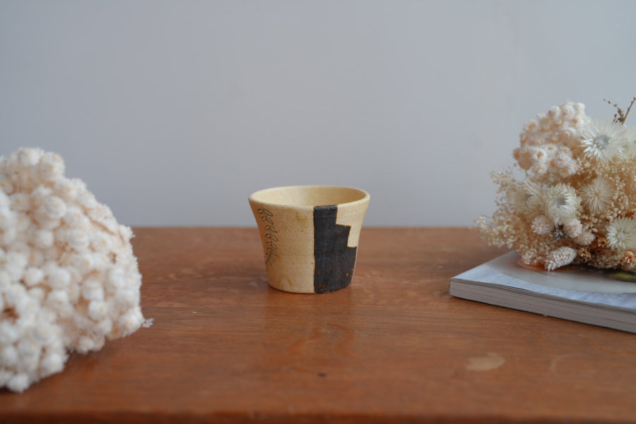 Shoko Hirano 平野照子 Cat Cup SR02 #3