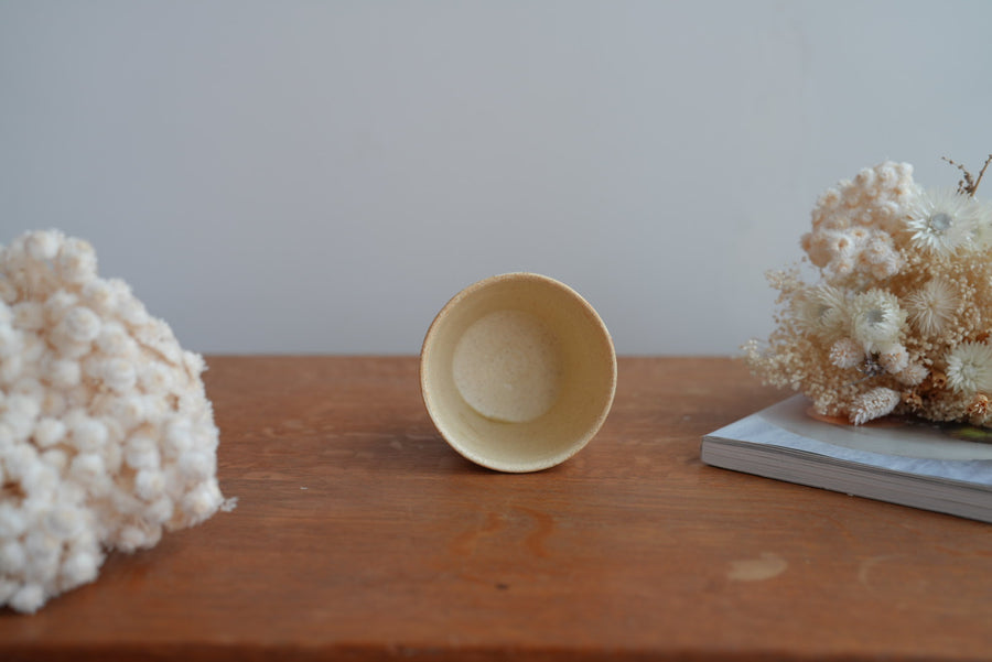 Shoko Hirano 平野照子 Cat Cup SR02 #9