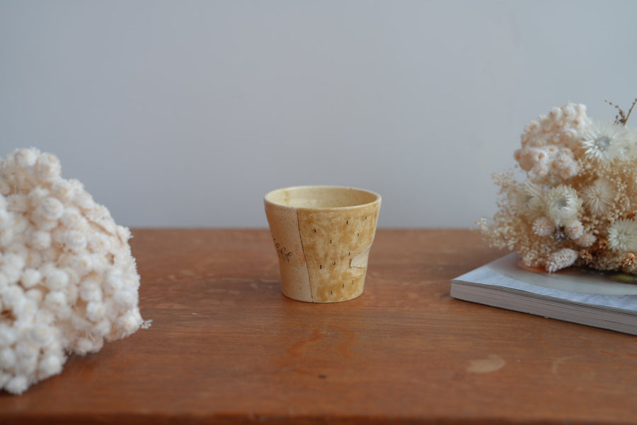 Shoko Hirano 平野照子 Cat Cup SR02 #11