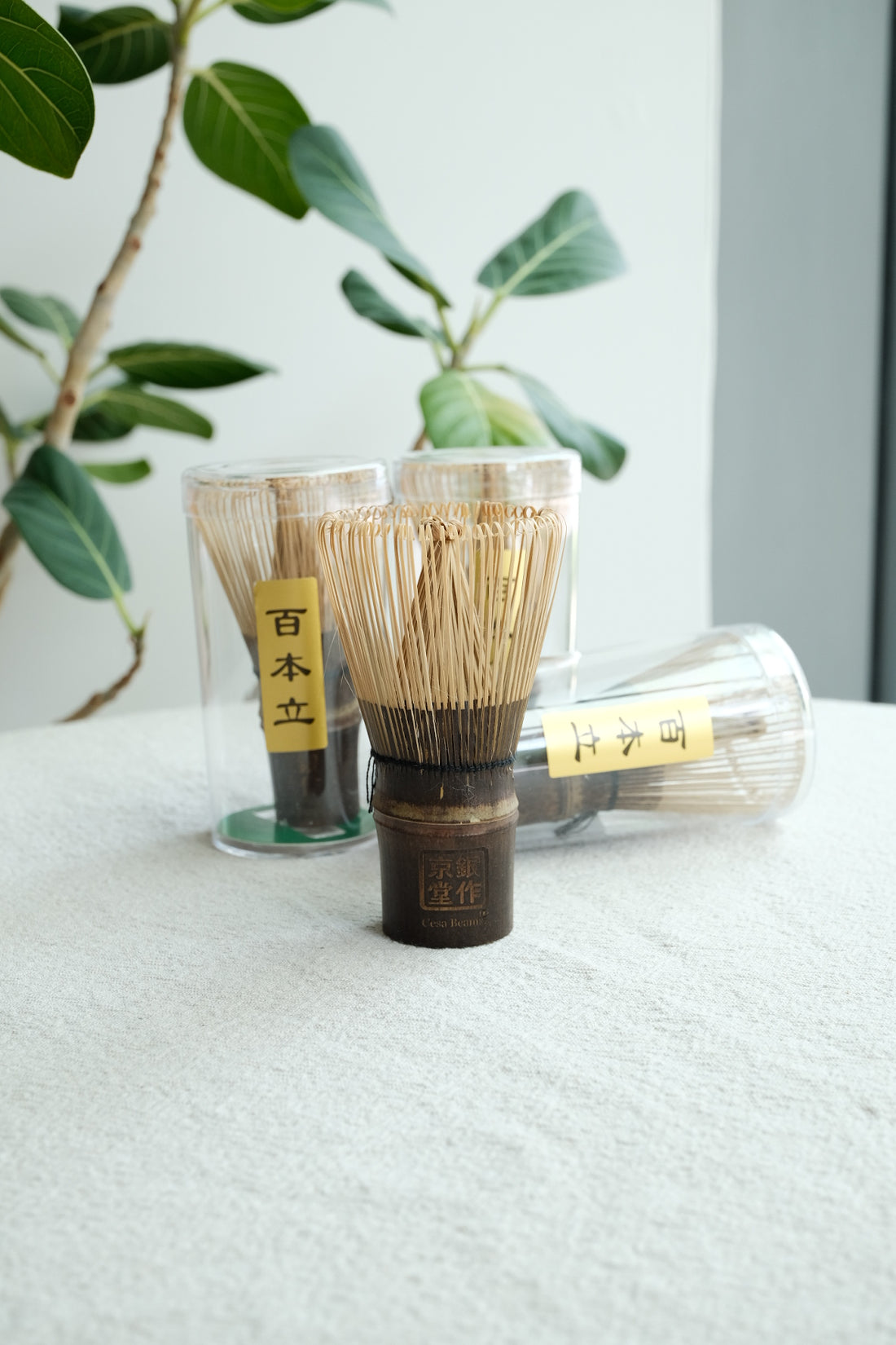 Purple Bamboo Matcha Whisk 100 Prongs Twine Count