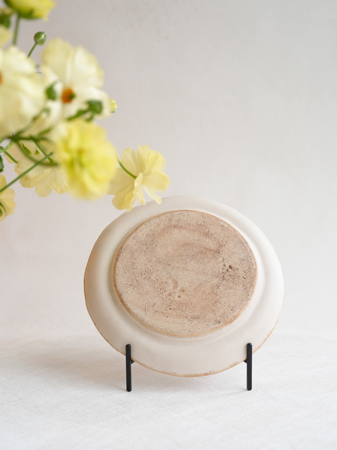 Misuzu Ishigami 石神美鈴 Animal Deco Plate MIS39