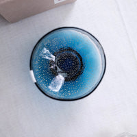 Toyosasaki Edo Glass Tumbler