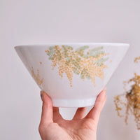 Mino Ware Acacia Collection