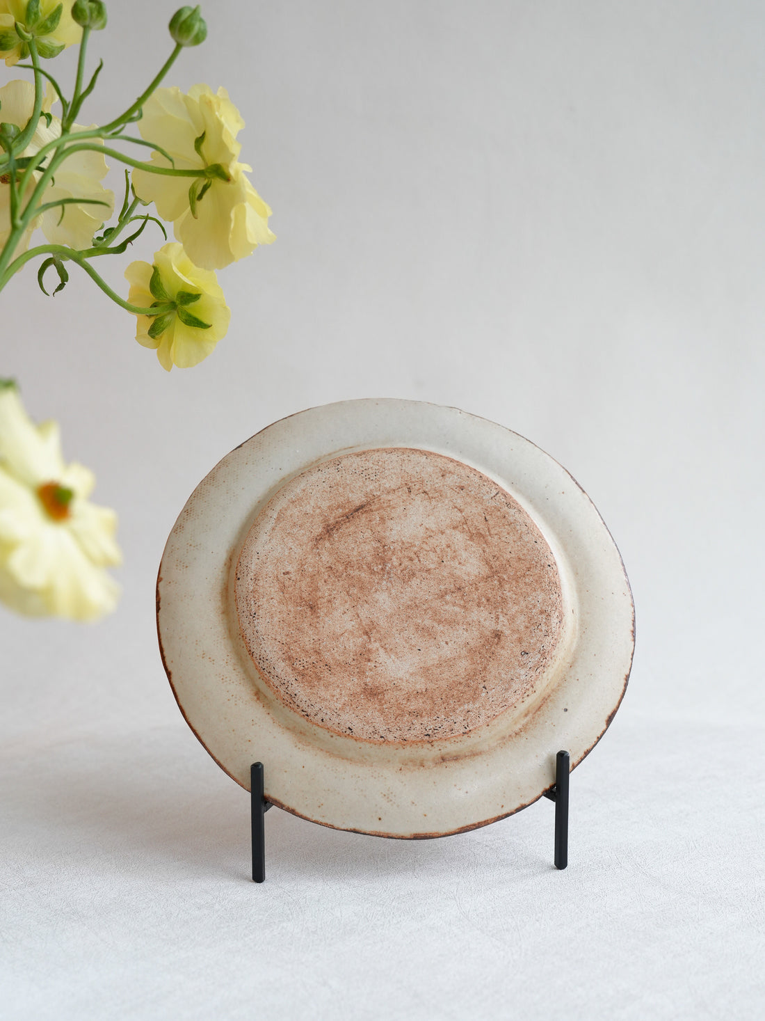 Misuzu Ishigami 石神美鈴 Animal Deco Plate MIS39