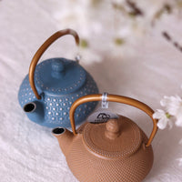 IWACHU Iron Teapot - Golden Yellow